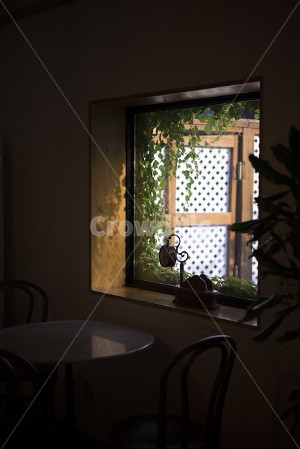 카페,창가,창문,덩쿨,인테리어,인테리어,실내디자인,interior design