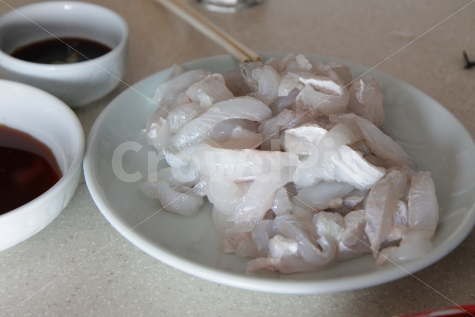 광어회,속초,여행,광어,회센터,음식,식재료,요리,food,cook,meal,dishes,food reserves,수산물,해산물,fishery products,seafood
