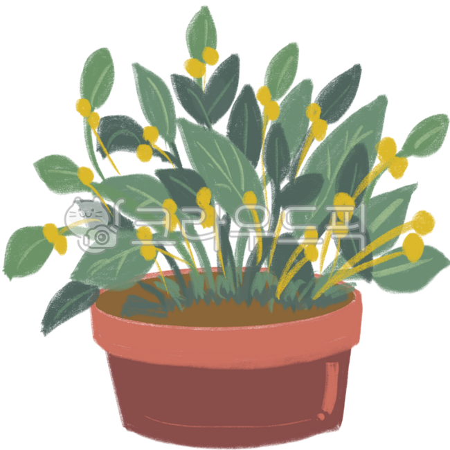 국화,화단,식물,가을식물,꽃밭,식물원,꽃일러스트,풀꽃,노란꽃,토분,화분,plant,pot,leaves,yellowflowers,pottedplant,soil,greenery,houseplant