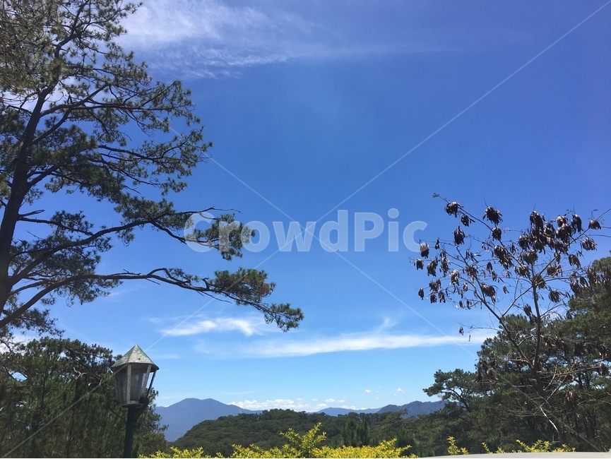 필리핀,바기오,하늘,경치,나무,구름,sky,힐링