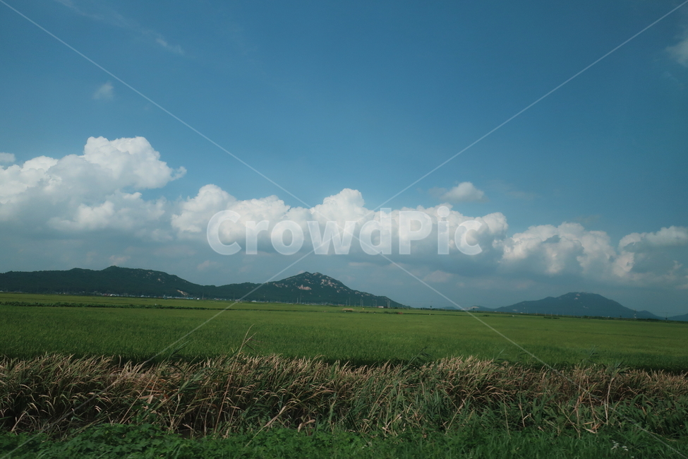 자연,논,산,하늘,풍경,nature,scene,mountain