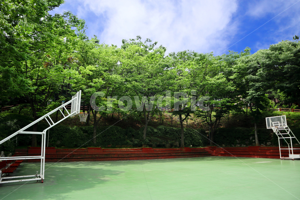 공원,농구장,농구,파란하늘,운동,스포츠,레저,운동,sports,leisure,exercise