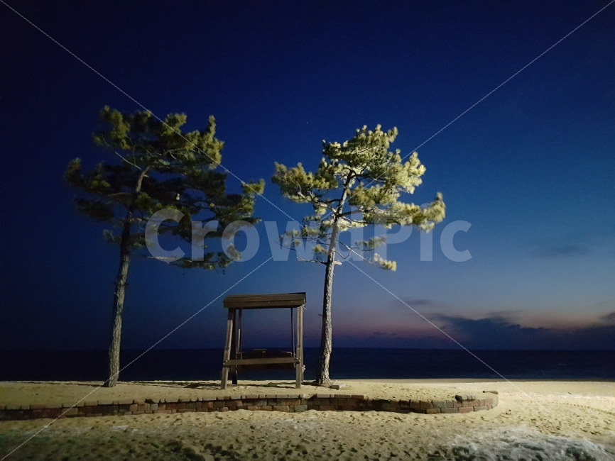 정동진,모래시계공원,풍경,어둠,새벽,밤,쓸쓸,나무,바다,해안,해변,겨울바다,바닷가,모래,나무의자,흔들의자,여행,바람,sea,tree,chair,night,sunrise,photo,사진,자연,풍경,nature,landscape,해변,바다,beach,sea,야경,밤,nightscape,night,plant,식물
