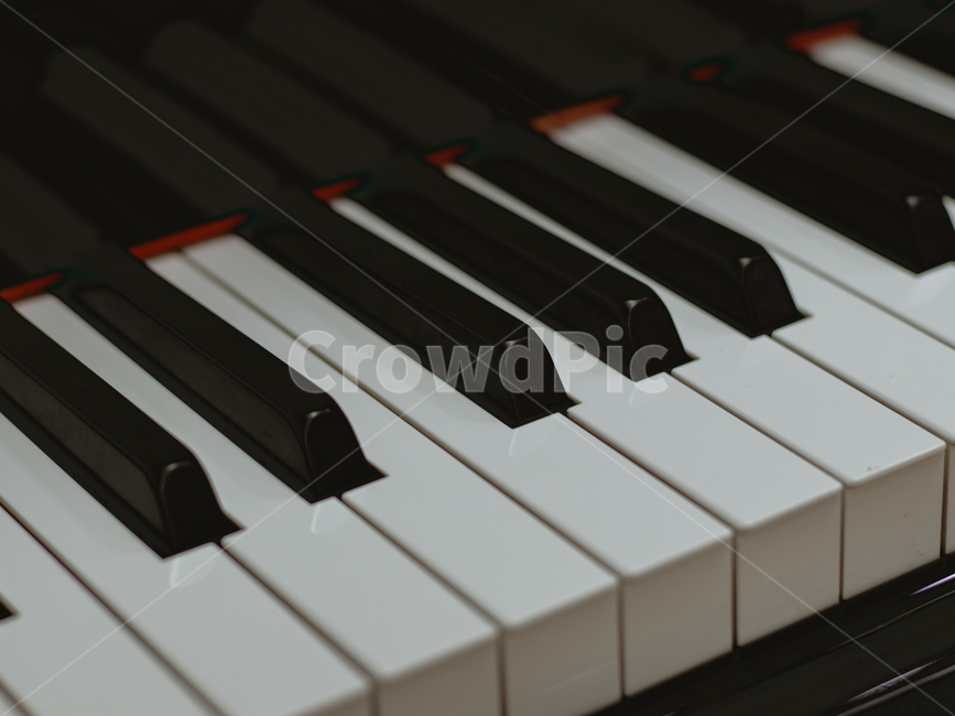 musicalinstrument,악기,piano,피아노,leisureactivities,건반,피아노건반,악기,음향기기,musical instrument,musical equipment