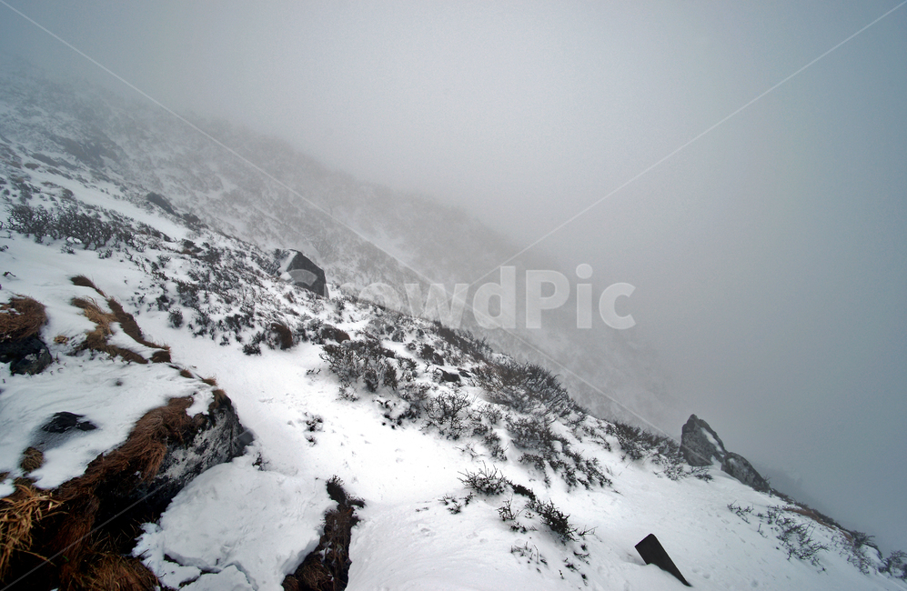 겨울산,한라산,설경,설산,한라산설경,겨울,안개,운무,눈,겨울,계절,winter,season