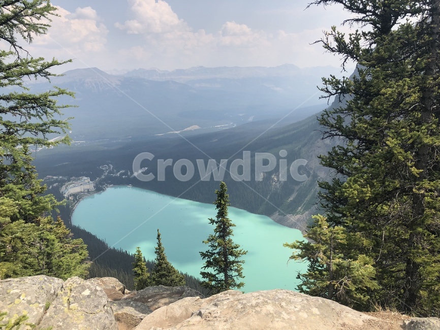레이크루이스,루이스호수,캐나다,밴프,banff,캐나다호수,호수,자연,풍경,nature,landscape,해외,외국,세계,foreign,oversea,world,세계자연풍경,해외자연풍경,외국자연풍경,world nature landscape,tree,나무,plant,식물,fir,전나무,abies,아비,conifer,구과 식물