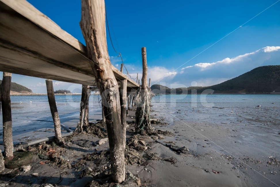 부산,바다,나무다리,선착장,백사장,다대포,맑은하늘,자연,풍경,nature,landscape,해변,beach,sea,자연,풍경,nature,landscape,해변,바다,beach,sea,wood,나무,water,물,waterfront,워터 프론트