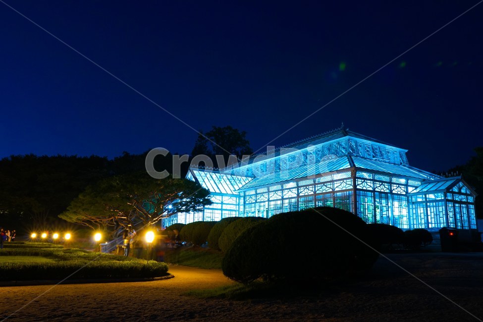 건물,building,건축물,창경궁,야간,전통,한국,royalpalce,야경,밤,풍경,nightscape,night,landscape,건축물,건물외관,exterior,building,structure,architecture,construction