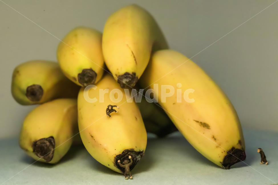 바나나,원숭이,banana,monkey,미니어처,과일,fruit,동물,동물원,zoo,간식,음식,식재료,요리,food,cook,meal,dishes,food reserves,과일,열매,fruit