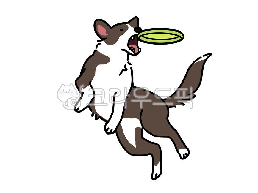 강아지,개,dog,동물,반려동물,포유류,동물그림,멍멍이,프리스비,원반던지기,운동