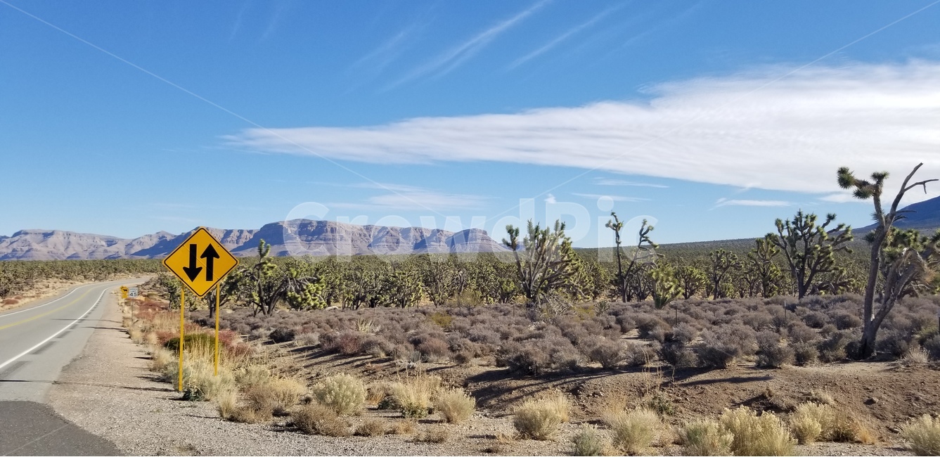 미국,애리조나,그랜드캐년,GrandCanyon,그랜드캐년가는길,자연,풍경,nature,landscape,해외,외국,세계,foreign,oversea,world,세계자연풍경,해외자연풍경,외국자연풍경,world nature landscape,교통,교통수단,traffic,transportation,bush,부시,plant,식물,vegetation,초목,outdoors,옥외,wilderness,황야