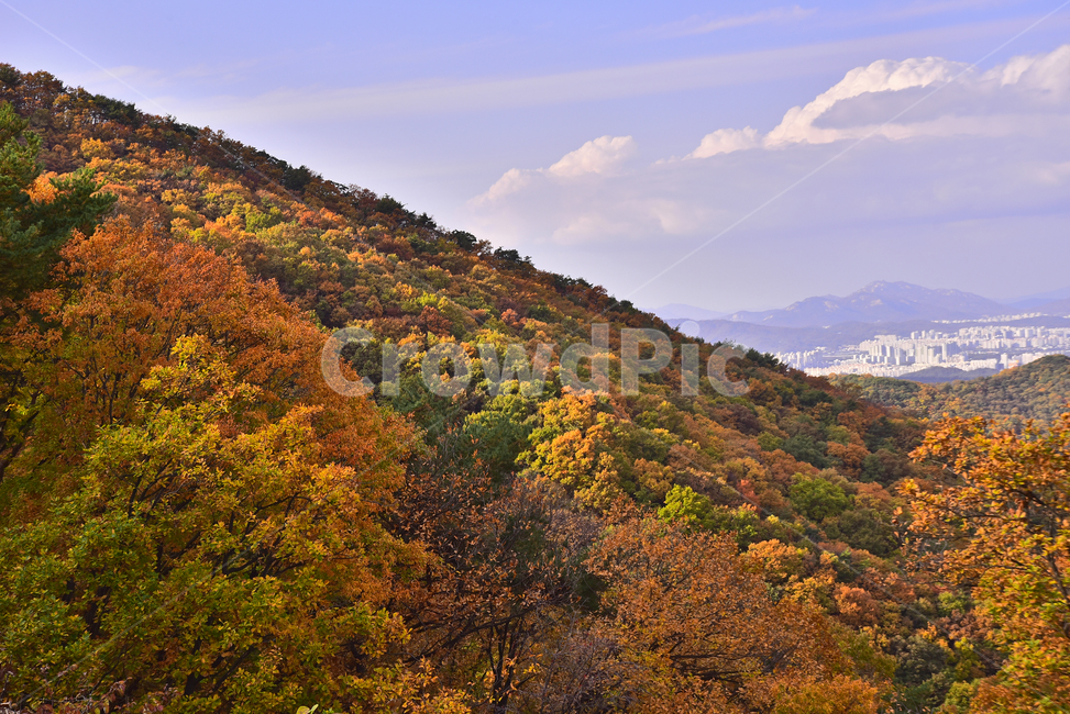 가을,가을풍경,한국자연경관,한국자연풍경,자연,산,가을배경,fall,autumn,season,가을단풍,nature,가을산,outdoors,옥외,산맥,mountain,mountainrange,배경,바탕,백그라운드,background,시즌,계절,골짜기,가을분위기,찬란한,형형색색,칼라풀,colorful,능선,가을숲,가을,계절,fall,autumn,season,자연,풍경,nature,landscape,한국자연풍경,한국자연경관,korea nature landscape