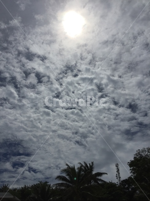 하늘,구름,나무,태양,자연,자연,풍경,nature,landscape,weather,날씨,outdoors,옥외,cumulus,적운,cloud,sky