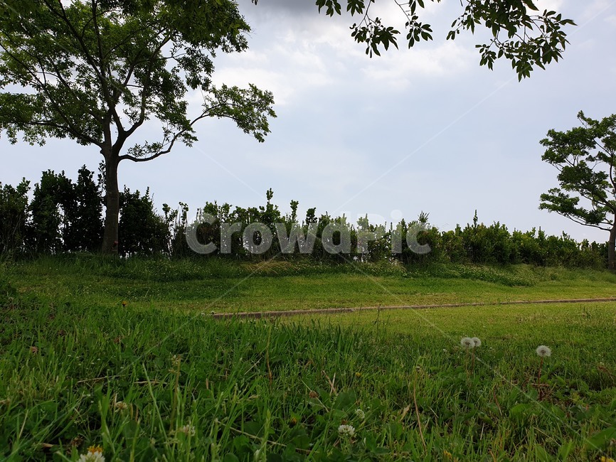 grassland,목초지,outdoors,field,자연,nature,옥외