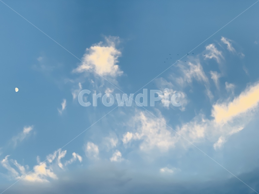 nature,자연,outdoors,옥외,azuresky,푸른하늘,sky,하늘,배경,백그라운드,background,구름,cloud,풍경,landscape,감성,감성사진,feeling,color,sensitivity,색깔,날씨,weather,색상,색채