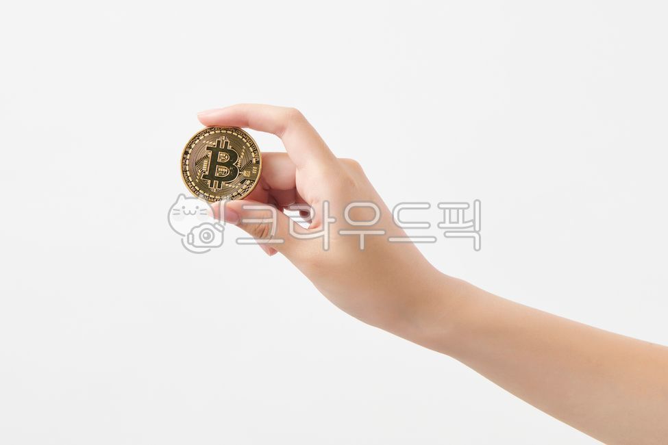 비트코인,가상화폐,코인,자산,온라인자산,돈,화폐,coin,알트코인
