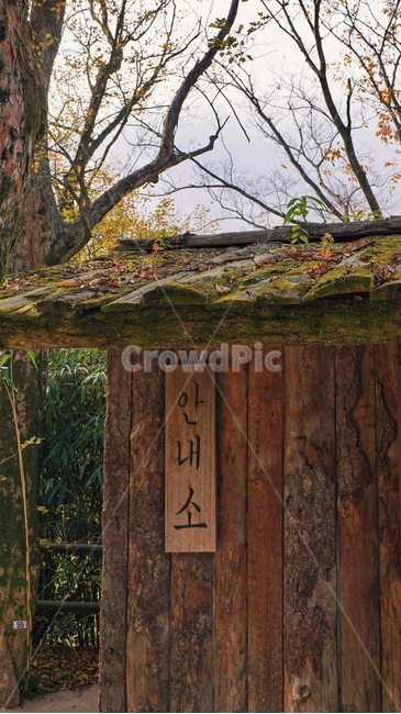 가을,fall,autumn,안내소,countryside,지붕,낙엽