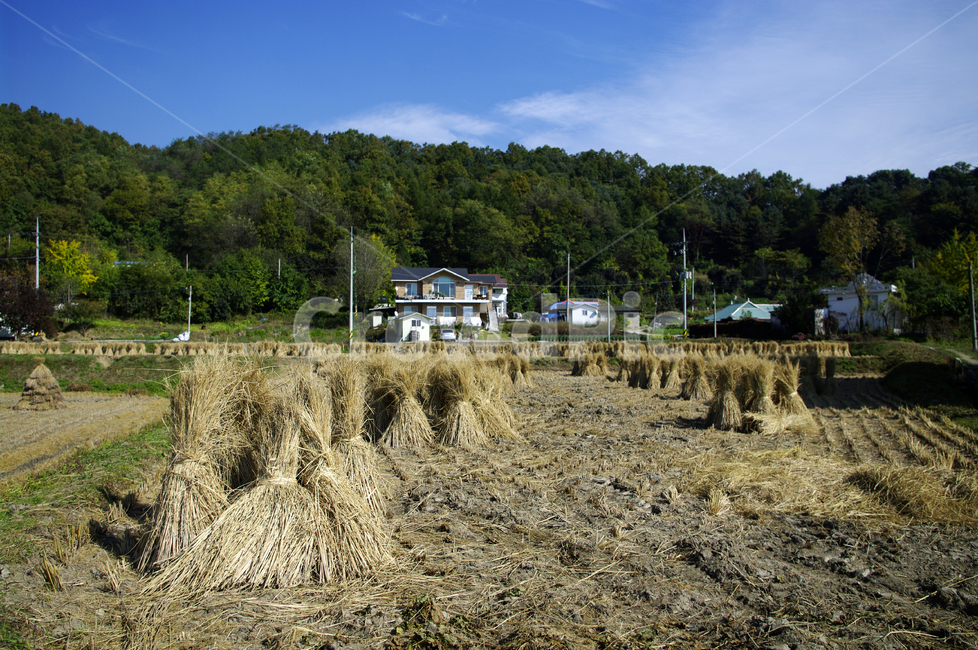 논,볏짚,풍경,산,하늘,농촌,시골,시골,마을,풍경,landscape,country,rural,town,산업,industry,industrial,농업,농사,agriculture,farming,farming industry