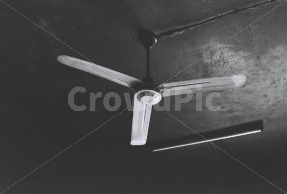 실내,흑백,필름사진,식당,천장,인테리어,실내디자인,interior design,흑백,모노톤,monochrome,black and white