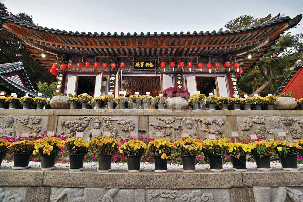 청계사,사찰,불교사찰,의왕시,극락보전,아미타불,한국전통,한국문화,korean traditional,korean culture,종교,신앙,religion,belief,faith