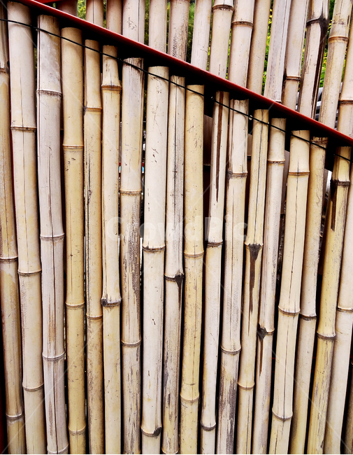 대나무,공예품,죽공예,나무,재료,식물,bamboo,패턴,수직선,세로,pattern,plant