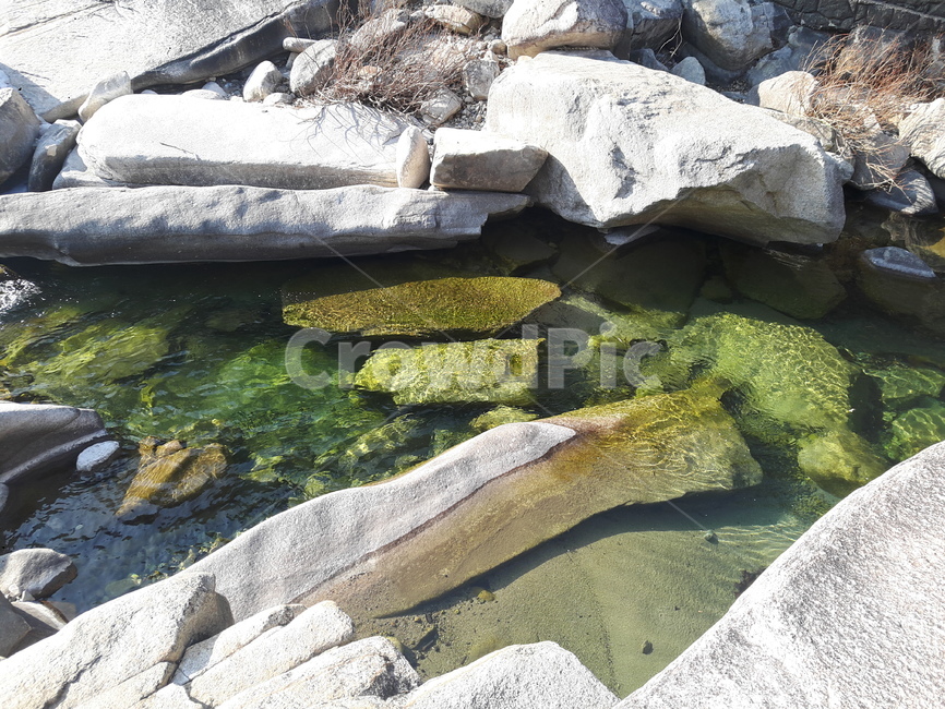 경치,풍경,자연,야외,아름다움,감성,자연,풍경,nature,landscape,plant,식물,algae,조류