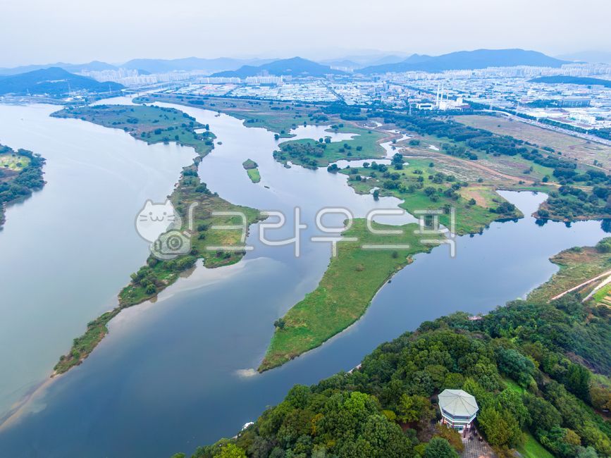 달성습지,습지,낙동강,대구시,대구,강,물,식물,야외,실외,자연,풍경,하늘,흐림,녹색,초록색,여름,달성군