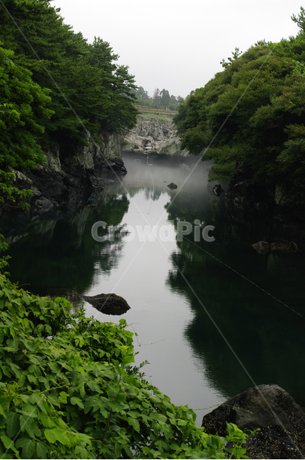 제주,쇠소깍,풍경,하천,나무,식물,자연,풍경,nature,landscape,한국자연풍경,한국자연경관,korea nature landscape,제주도,jeju,jeju island,water,물,outdoors,옥외