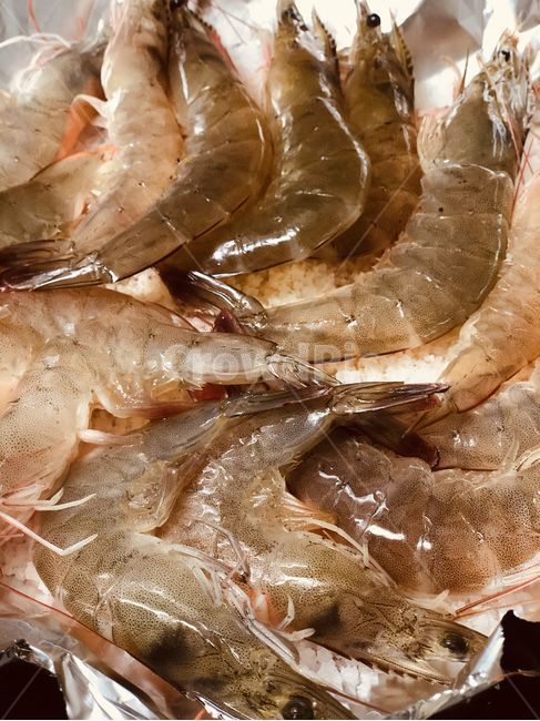 shrimp,cooking,cooked,raw,sealife,해양생물,seafood,해물,새우,food,음식,pan