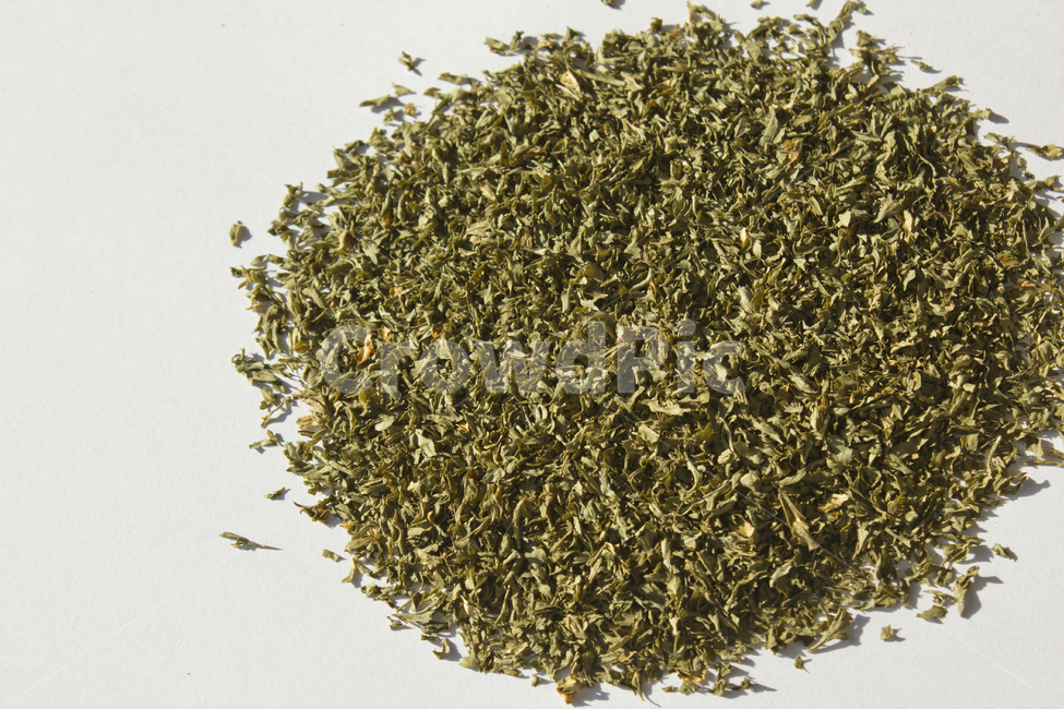 parsley,dryparsley,powder,파슬리,파슬리가루,파슬리잎,가루,요리재료,식재료,이탈리안,말린,마른,말린잎,closeup,cooking,driedparsley,dry,food,italian,leaf,parsleyleaf,plant,양념,더미,dummy,group,덩어리,모여있는