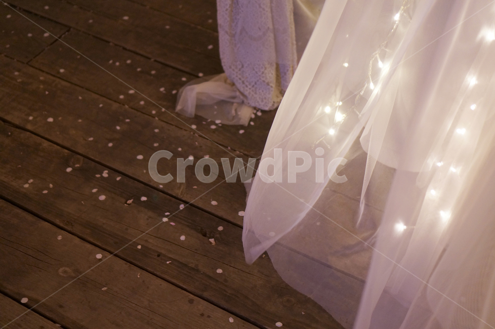 벗꽃,봄,조명,봄밤,벗꽃축제,야경,밤,풍경,nightscape,night,landscape,감성,sensible,feeling