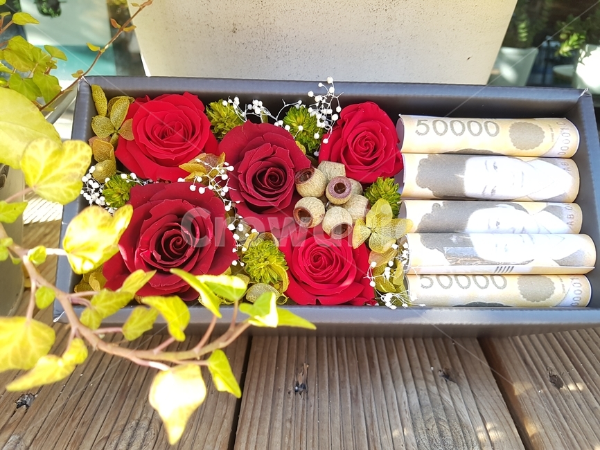 꽃선물,지폐선물,선물상자,오만원권,장미꽃,꽃,flower,기념일,축하,anniversary,congratulation,celebrate,celebration