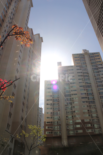 하늘,낮,파랑,블루,빛,햇빛,건물,건설,건축,아파트,로우앵글,높은,베이지,나무,가을,레드,빨강,집,하우스,단풍,빌딩,아파트단지,도시,도심,파란색,나뭇가지,도시,풍경,city,landscape,한국도시풍경,한국도시경관,korea cityscape,건축물,건물외관,exterior,building,structure,architecture,construction,flare,플레어,light