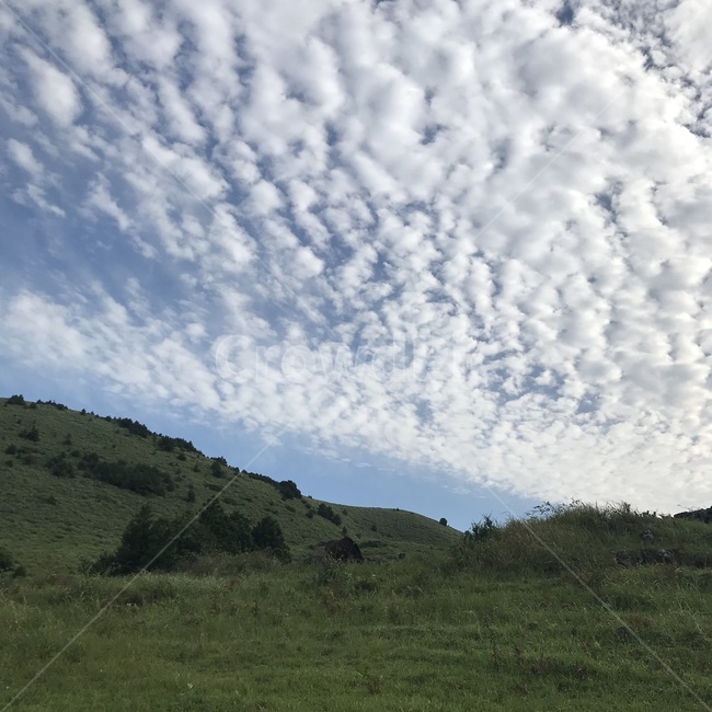 제주도,하늘,구름,cloud,적운,sky,cumulus,옥외,outdoors,자연,nature,weather,자연,풍경,nature,landscape
