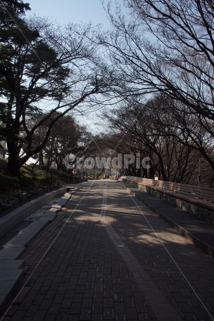 산책로,공원,산책,숲길,조용한산책로,자연,풍경,nature,landscape,asphalt,아스팔트,road,도로