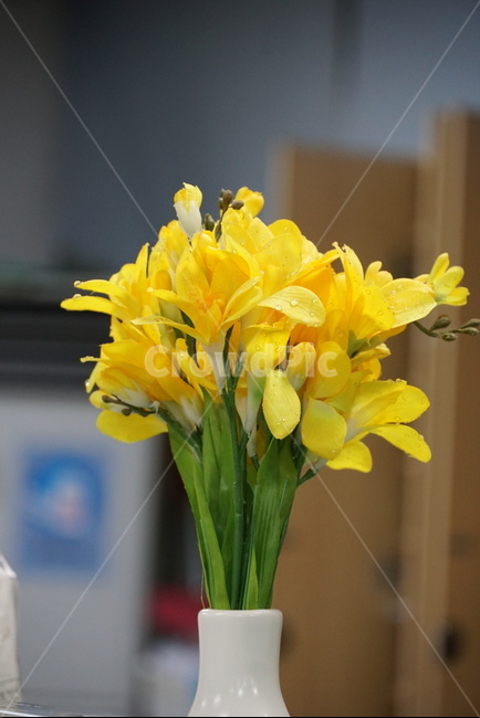 꽃,노랑,후리지아,조화,화병,꽃,flower,실내용화초,화분,화초,house plant