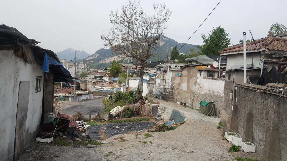 폐가,스레기,달동네,불암,나무