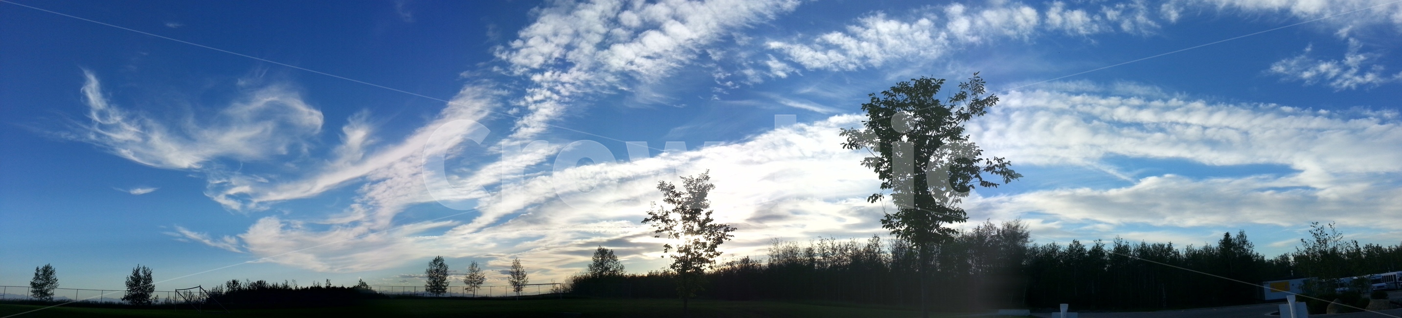 하늘,구름,나무,맑음,공기,sky,cloud,tree,clear,air