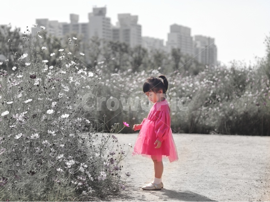 사람,의복,아기,감성,흑백,가을,pink,꽃,person,human,인간,girl,사람,인물,인간,human,person,어린이,어린아이,child,children,kid