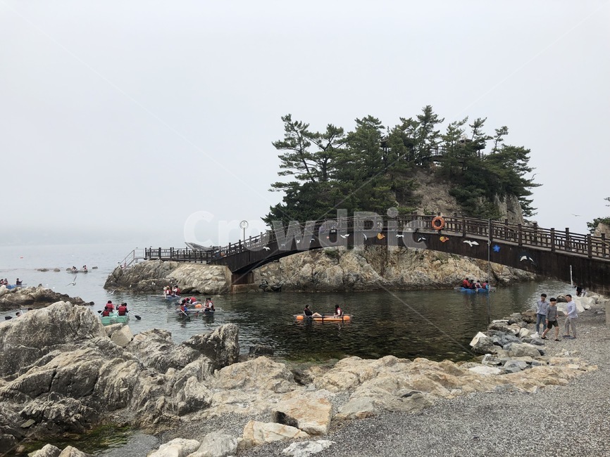 풍경,자연,배경,바다,장호항,동양의나폴리,스노쿨링,카약,휴가,항구,암석,바위,다리