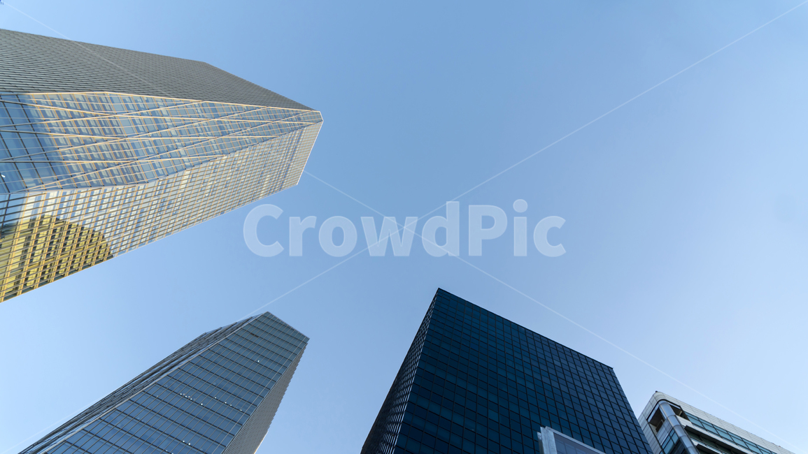 빌딩,고층,회사,도심,비지니스,building,건물,officebuilding,사무실건물,highrise,고층건물,town,도시,city,시티,건축물,건축물,건물외관,exterior,building,structure,architecture,construction,비즈니스,사업,business,service,work