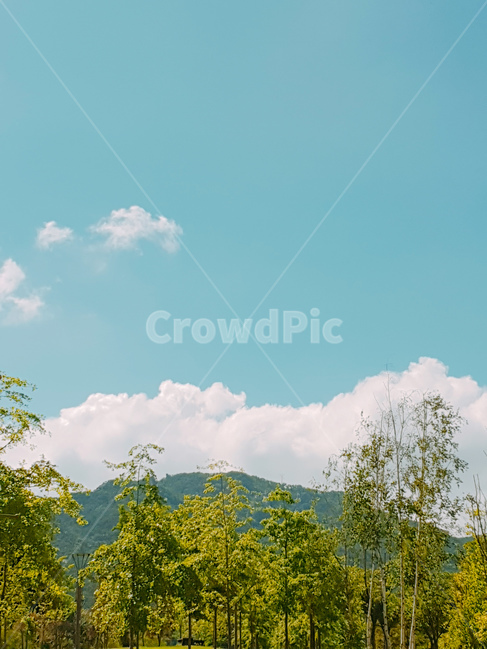 흰구름,하늘,풍경,나무,여름,자연,풍경,nature,landscape,outdoors,옥외