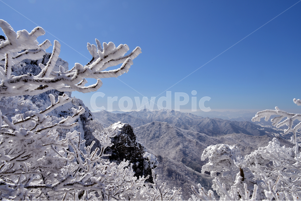 nature,자연,눈,눈꽃,겨울,덕유산,snow,winter,winterflower,겨울,계절,winter,season