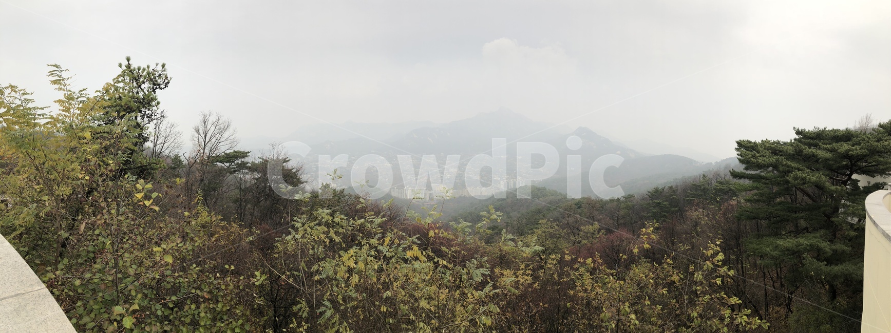 풍경,꽃,자연,봄,산,하늘,자연,풍경,nature,landscape,outdoors,옥외