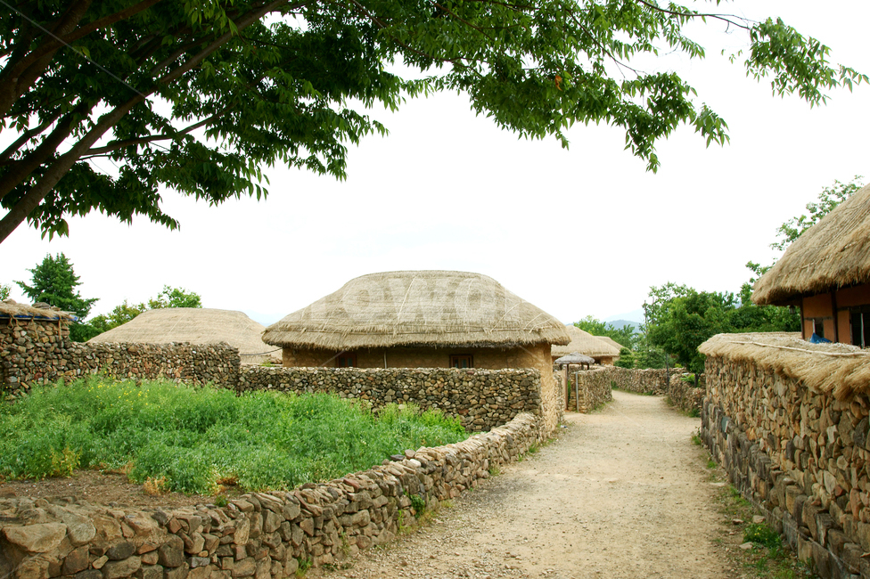 전통,초가집,자연,레트로,nature,빈티지,옛날,감성,집,올드,길,관광지,한국전통,한국문화,korean traditional,korean culture