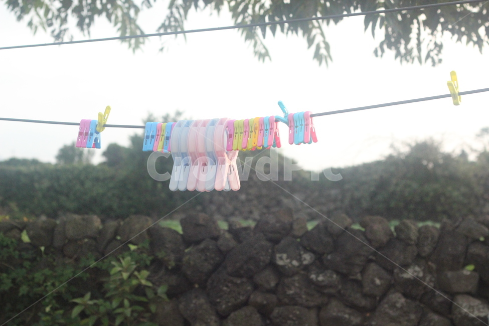 제주돌담,돌담,제주,현무암,빨래,생활,자연,회색,햇빛,덩굴,풍경,nature,laundry,life,제주도,jeju,jeju island