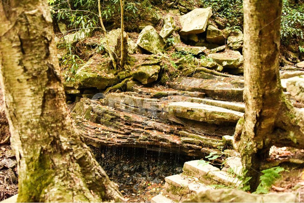 계곡,계단식계곡,물,자연,creek,자연,풍경,nature,landscape