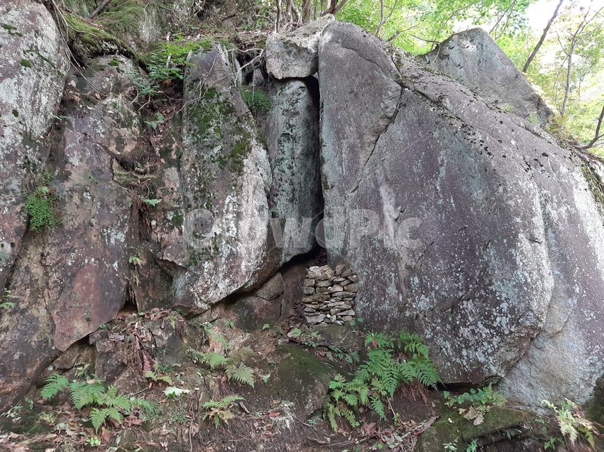 rock,바위,이끼,벙커,자연