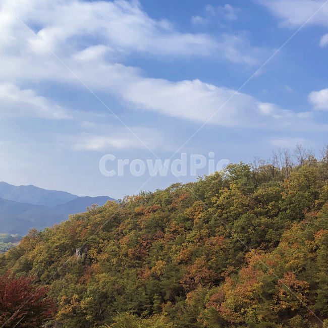 하늘,나무,산,자연,풍경,가을,landscape,nature,outdoors,단풍,가을,계절,fall,autumn,season,자연,풍경,nature,landscape,옥외