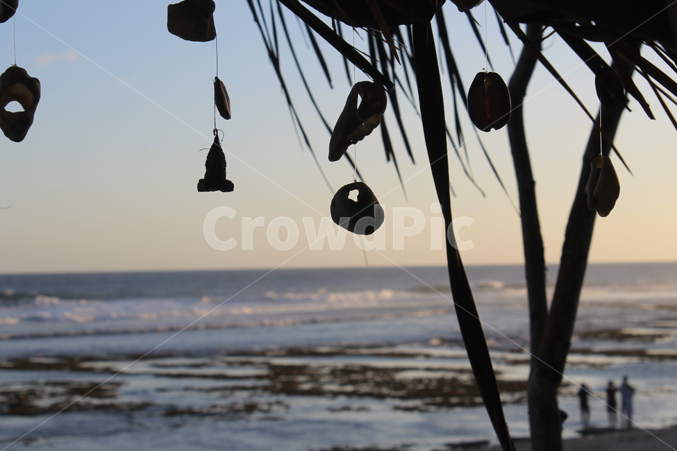 인도네시아,발리,냥냥해변,바다,발리해변,balibeach,indonesia,bali,nyangnyang,nyangnyangbeach,beach,seashelle,조개껍데기